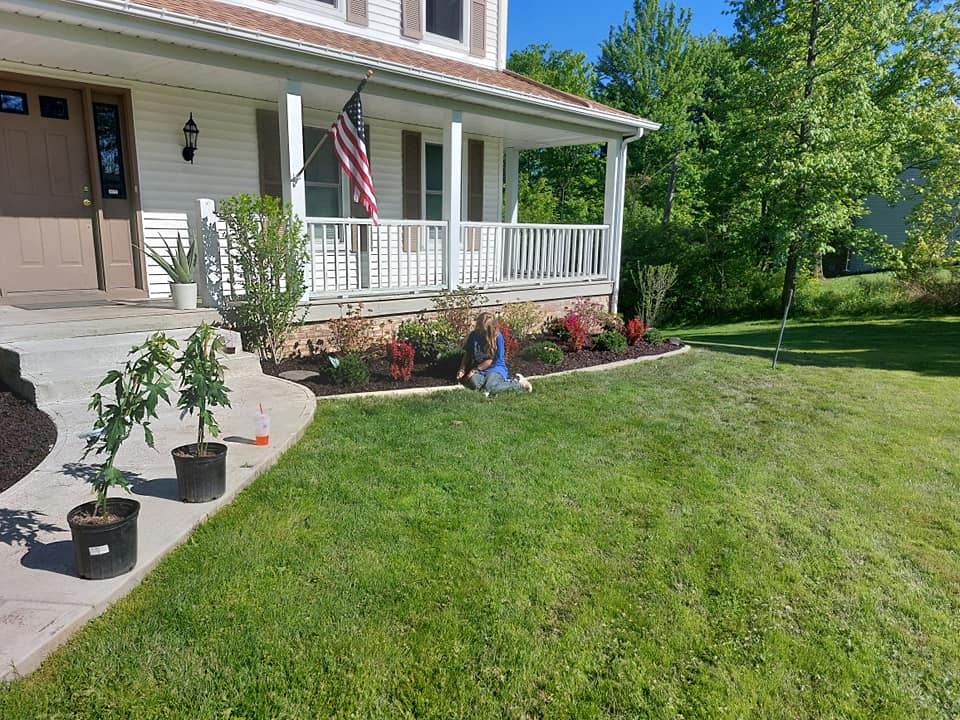 Beautiful flower bed